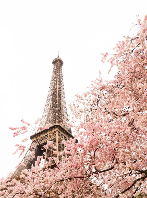 Pourquoi les consommateurs choisissent-ils le restaurant de la Tour Eiffel?